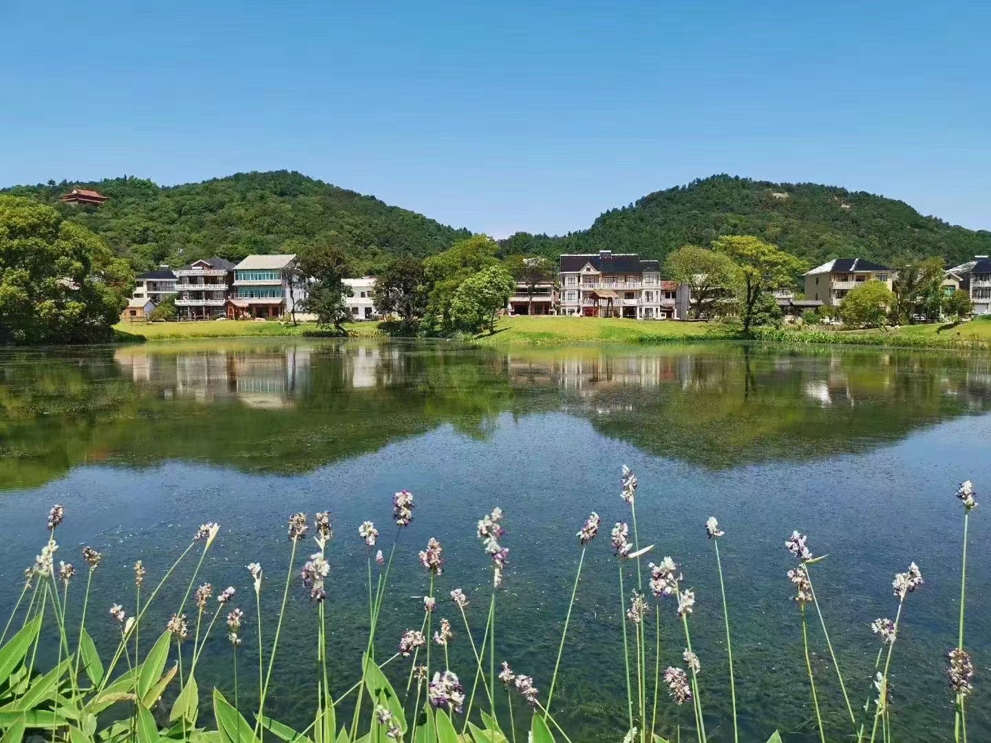 綠凱